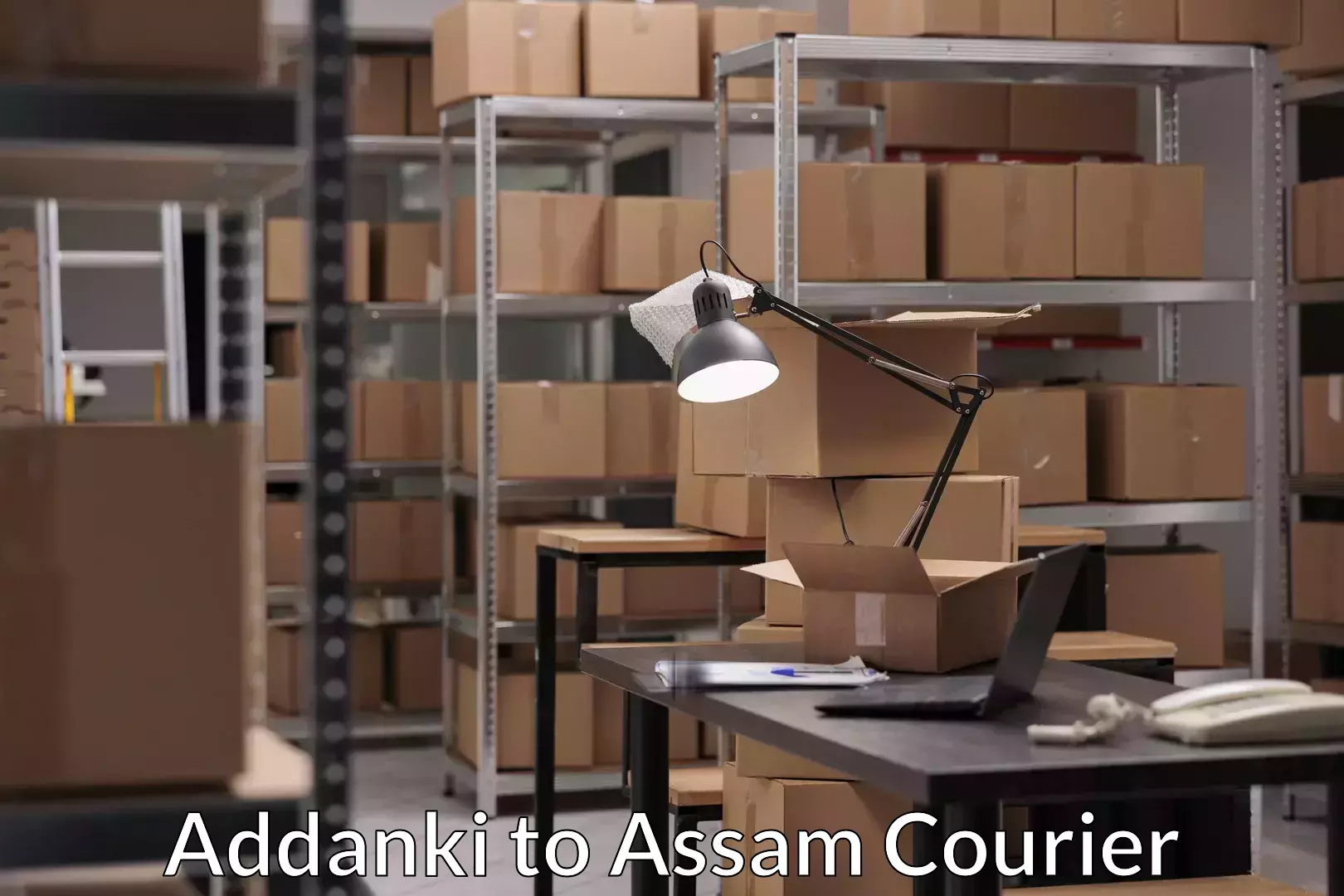 Cost-effective courier options Addanki to Guwahati University