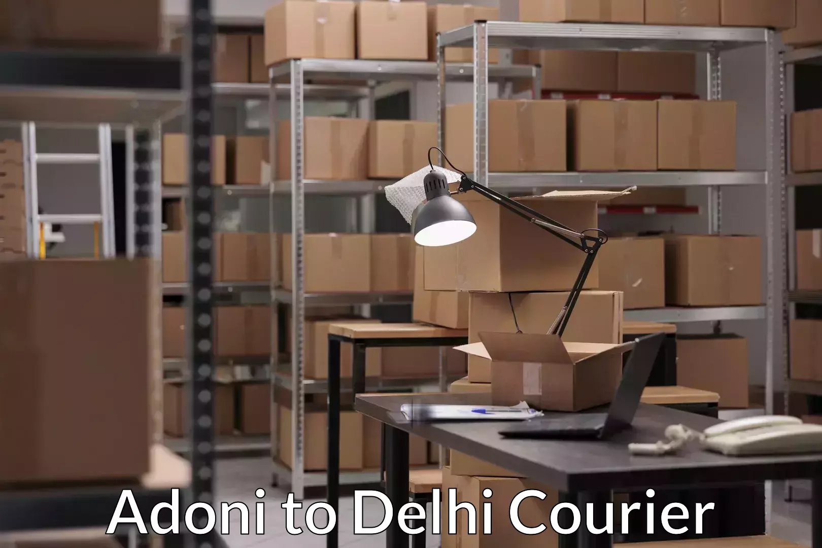 Nationwide parcel services Adoni to Delhi