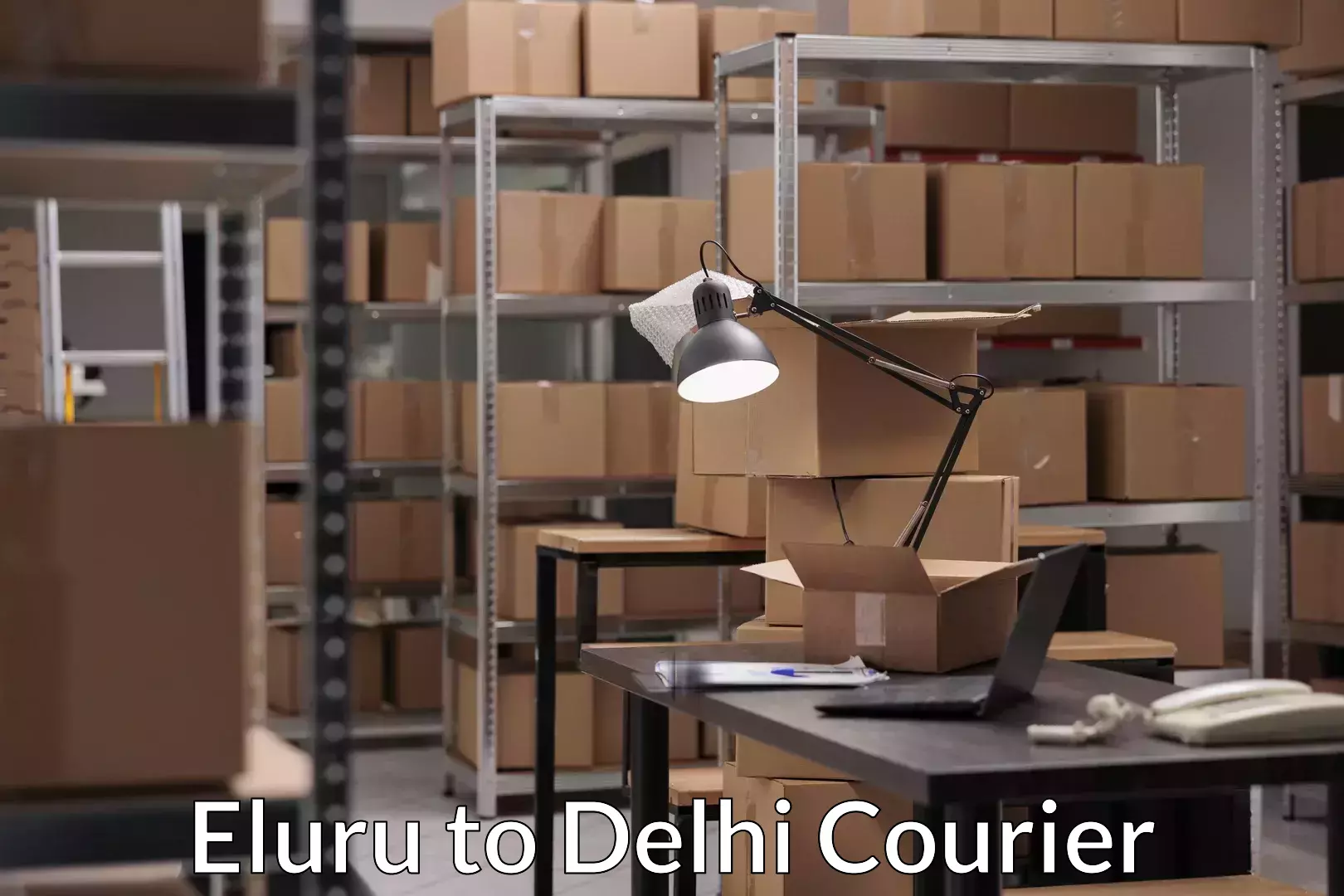 Secure shipping methods Eluru to Lodhi Road