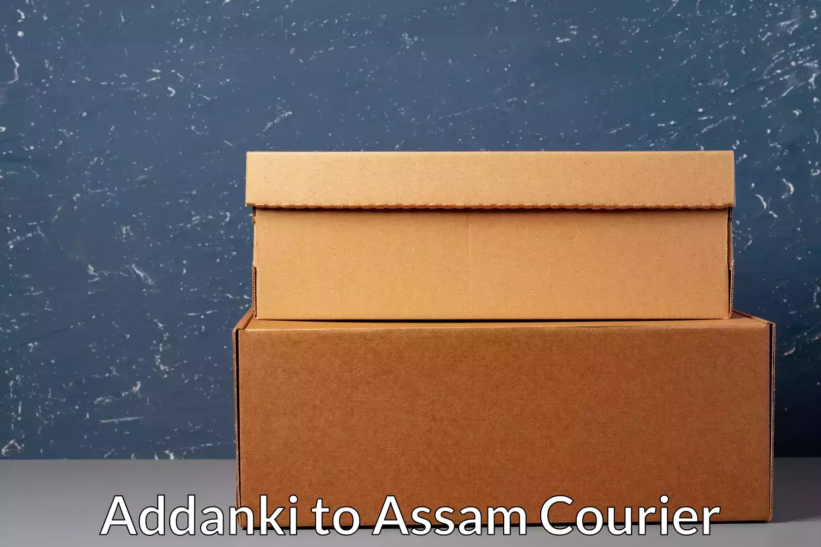 Next-day freight services Addanki to Kamrup