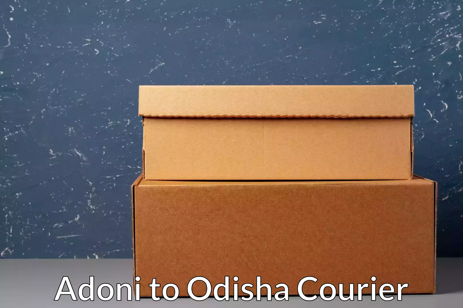 On-demand courier Adoni to Talcher