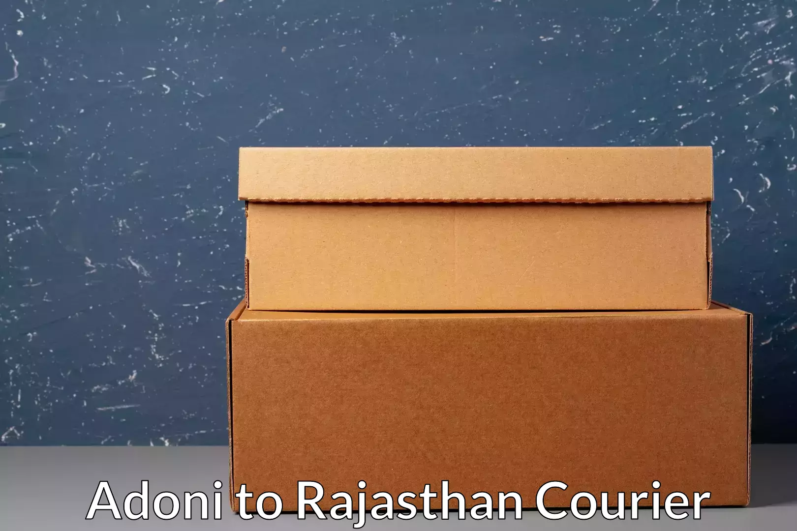 Comprehensive parcel tracking Adoni to Rawatbhata