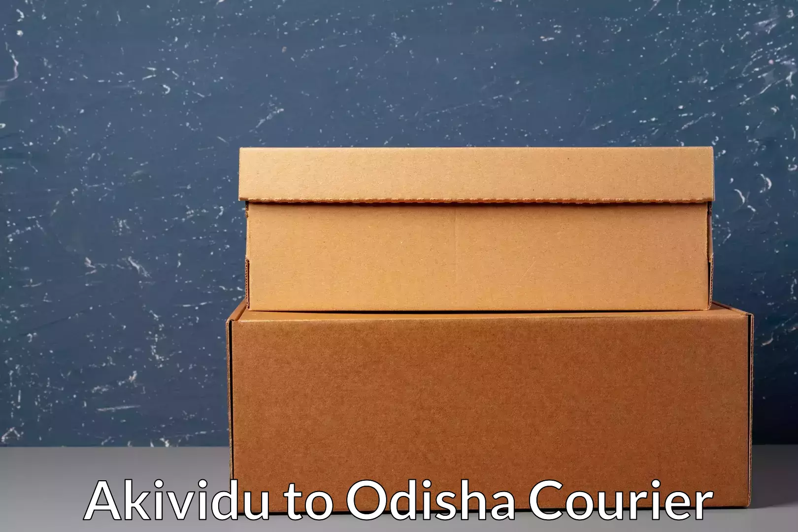 On-demand courier Akividu to Bhubaneswar