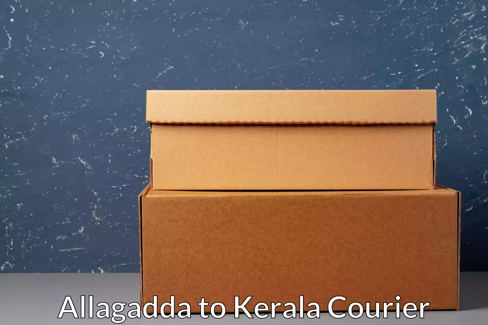 Lightweight parcel options Allagadda to Kalpetta