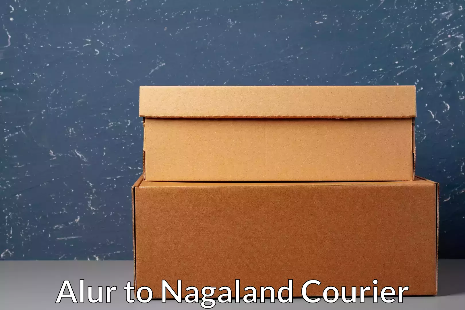 User-friendly courier app in Alur to Nagaland