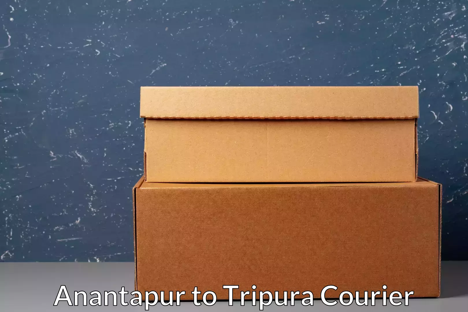 Custom courier packaging Anantapur to South Tripura