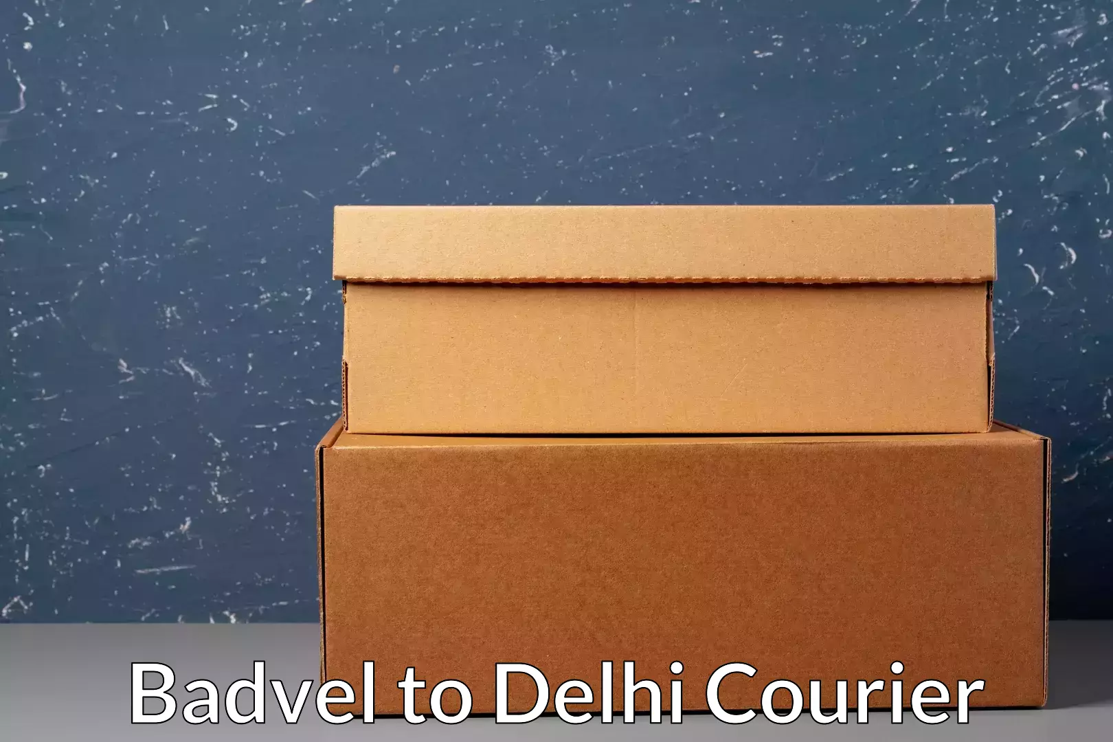 Scheduled delivery in Badvel to Delhi