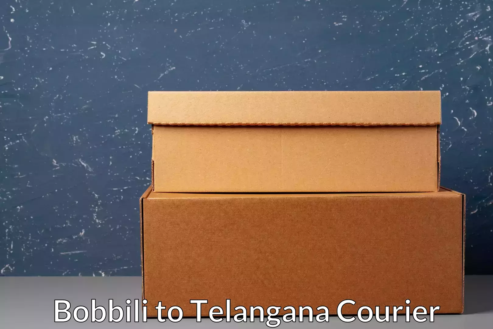 Subscription-based courier Bobbili to Danthalapally