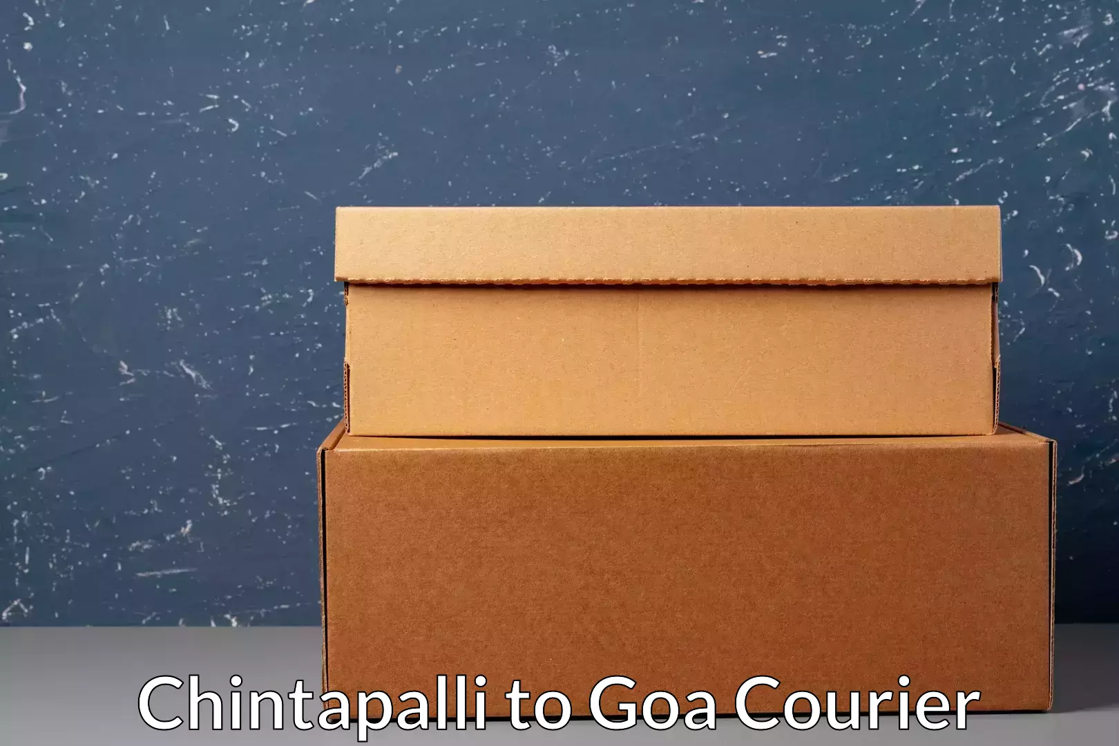 Advanced shipping logistics Chintapalli to Goa