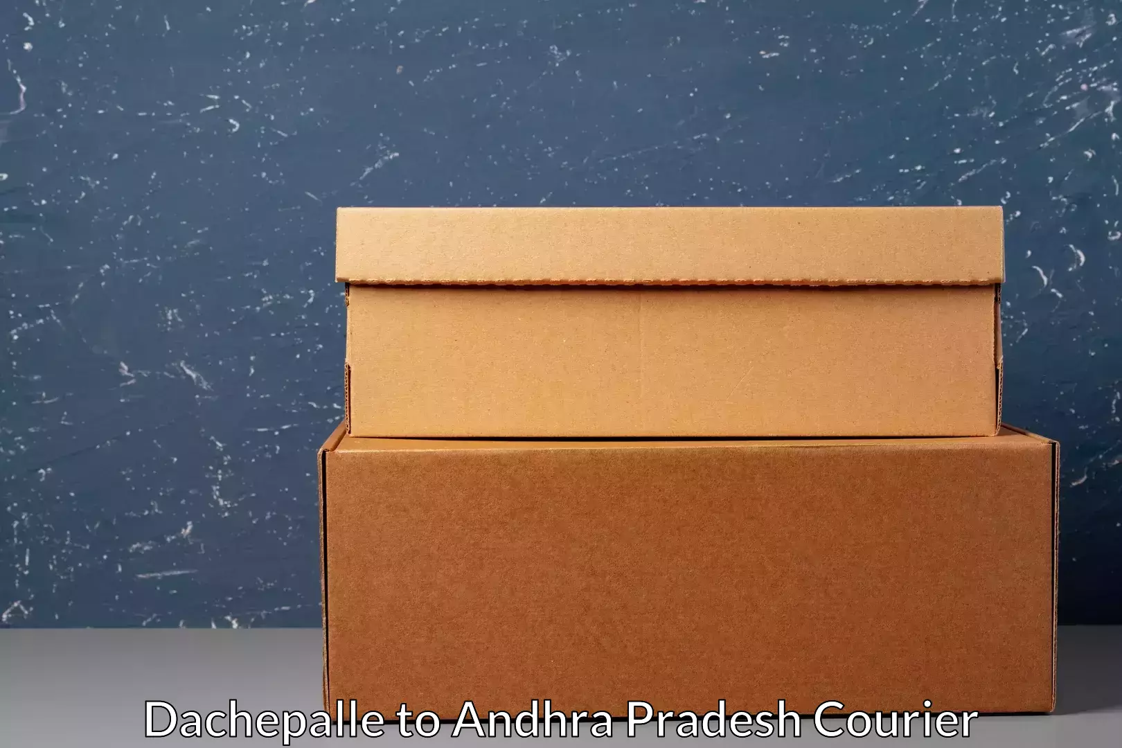 Digital shipping tools Dachepalle to Andhra Pradesh