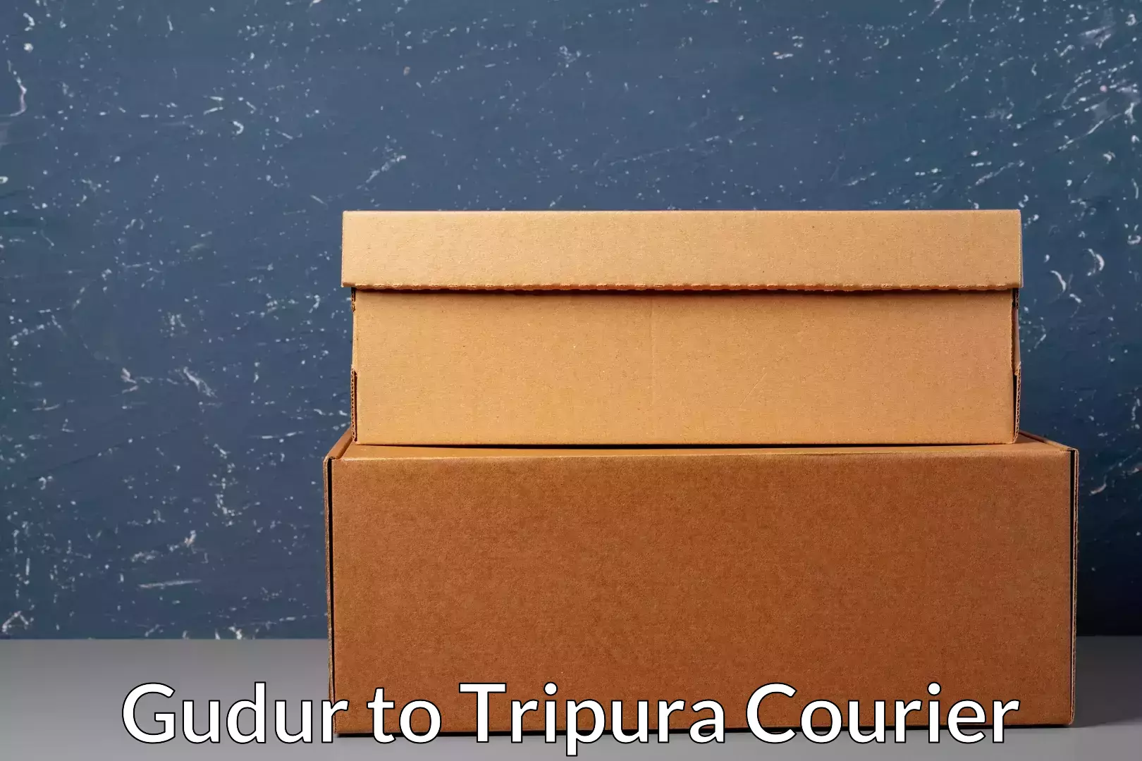 Lightweight parcel options Gudur to West Tripura