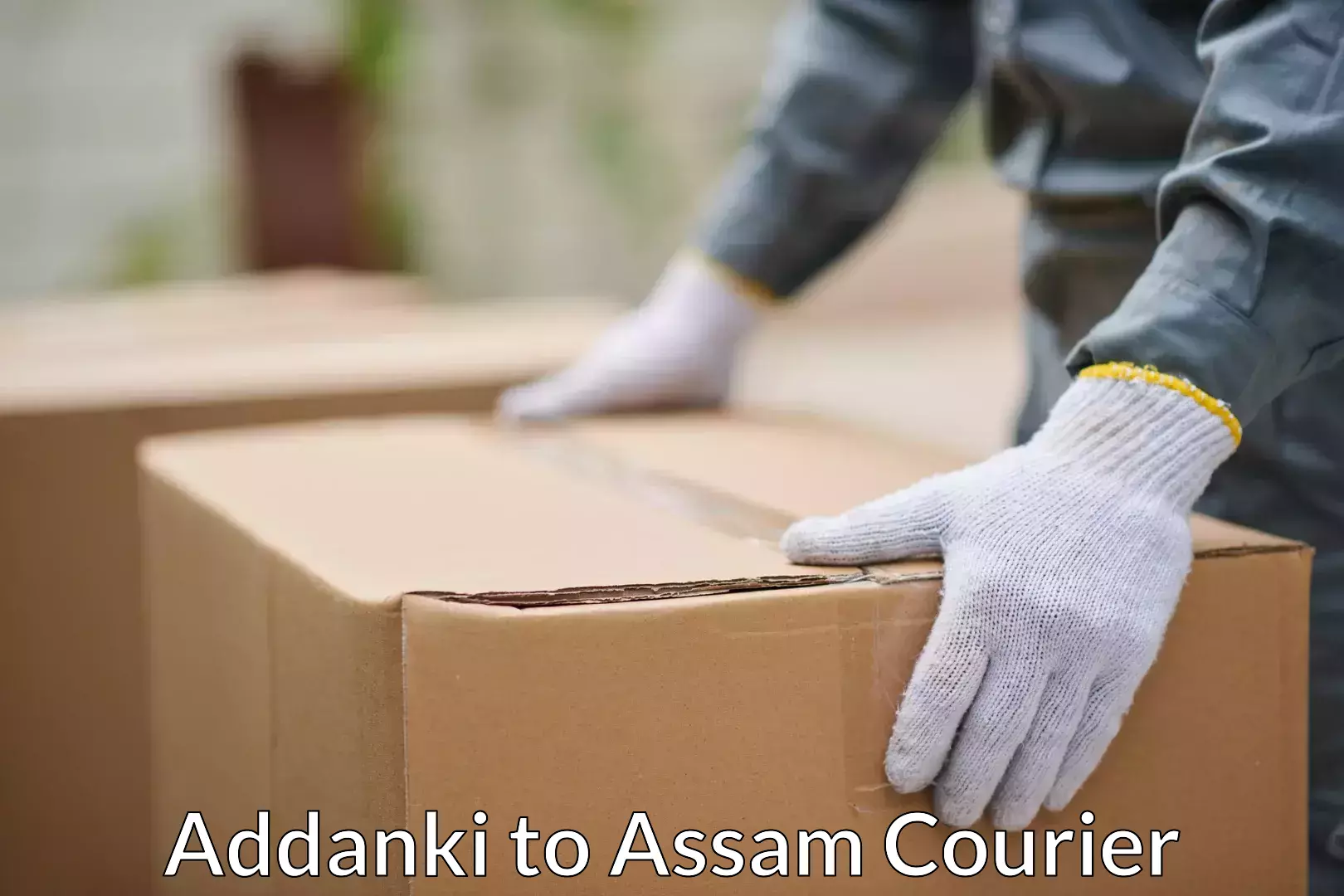 Air courier services Addanki to Diphu