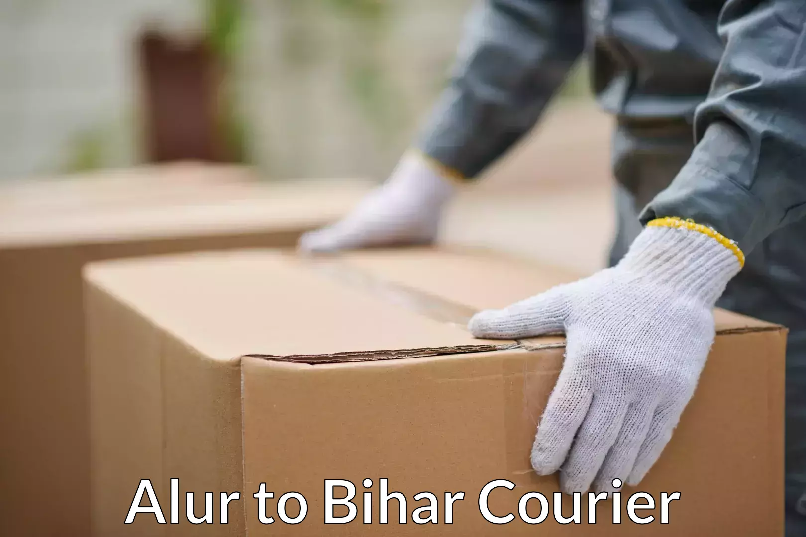 Individual parcel service Alur to Sahebganj Muzaffarpur