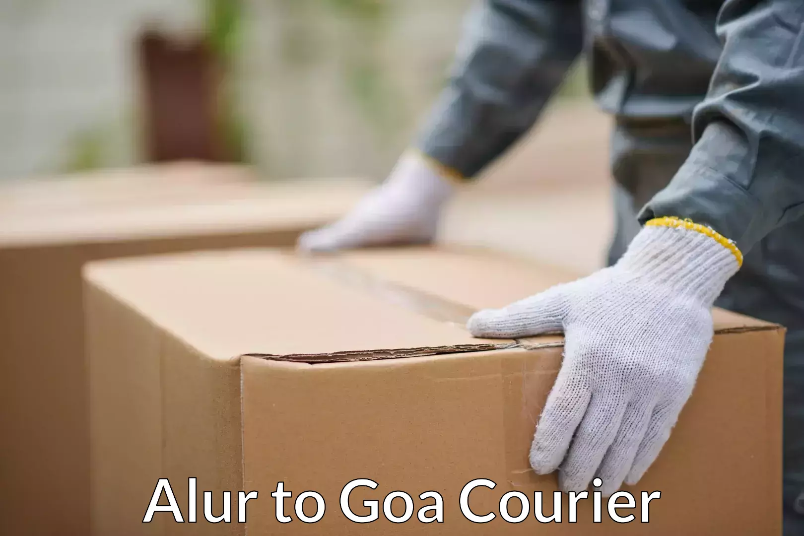 International shipping rates Alur to Goa