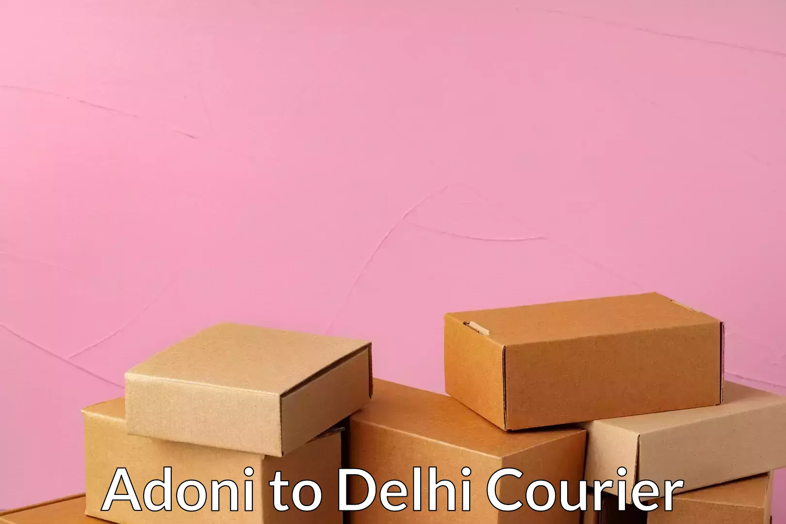 Package tracking Adoni to Delhi