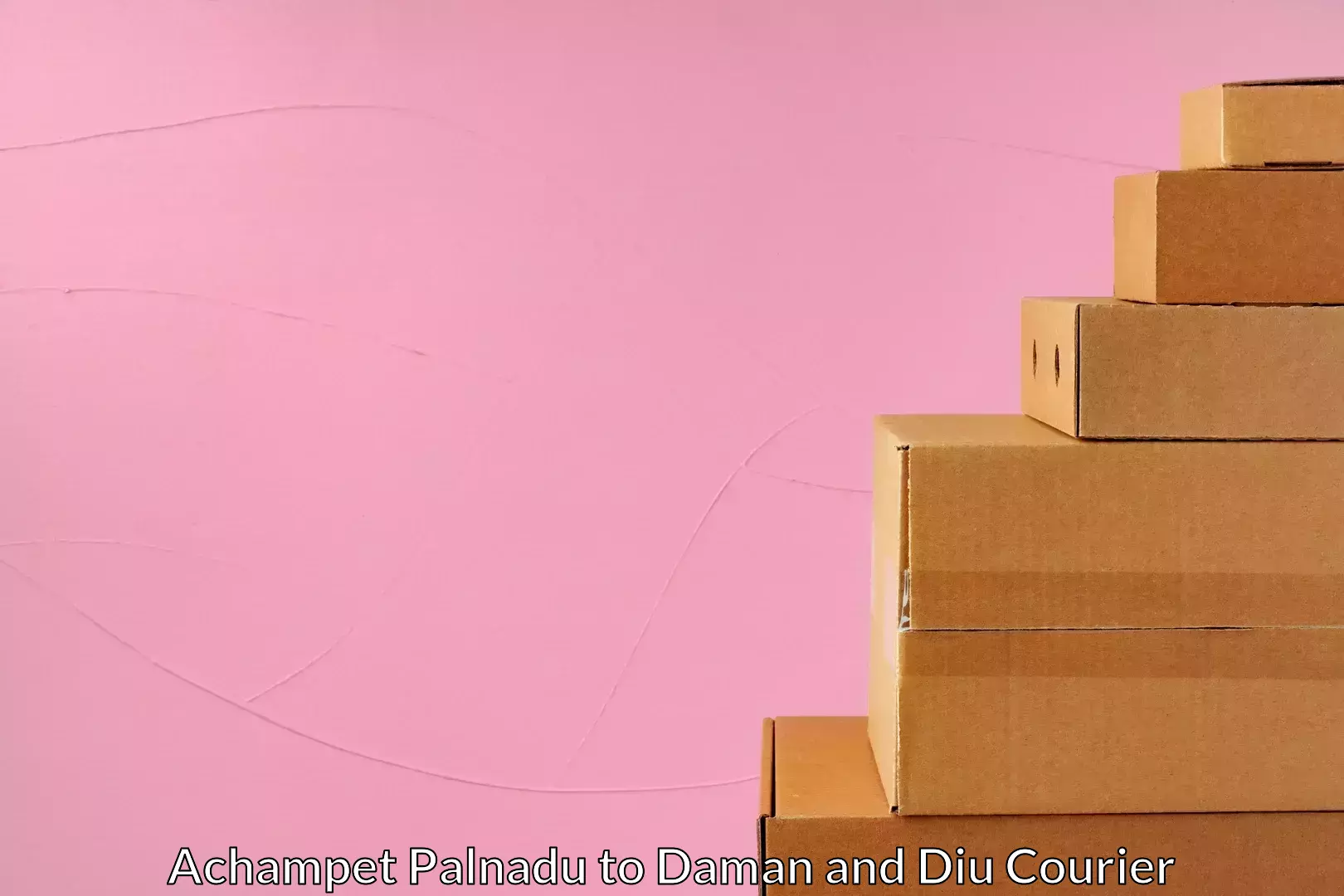 Quick courier services Achampet Palnadu to Daman and Diu