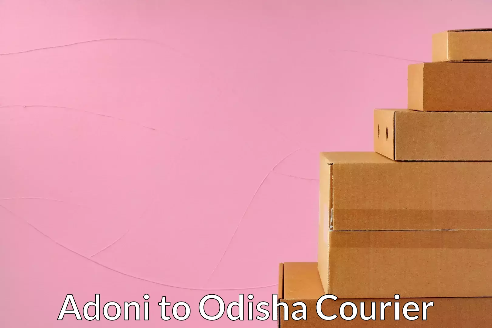 High-quality delivery services in Adoni to Paradip Port