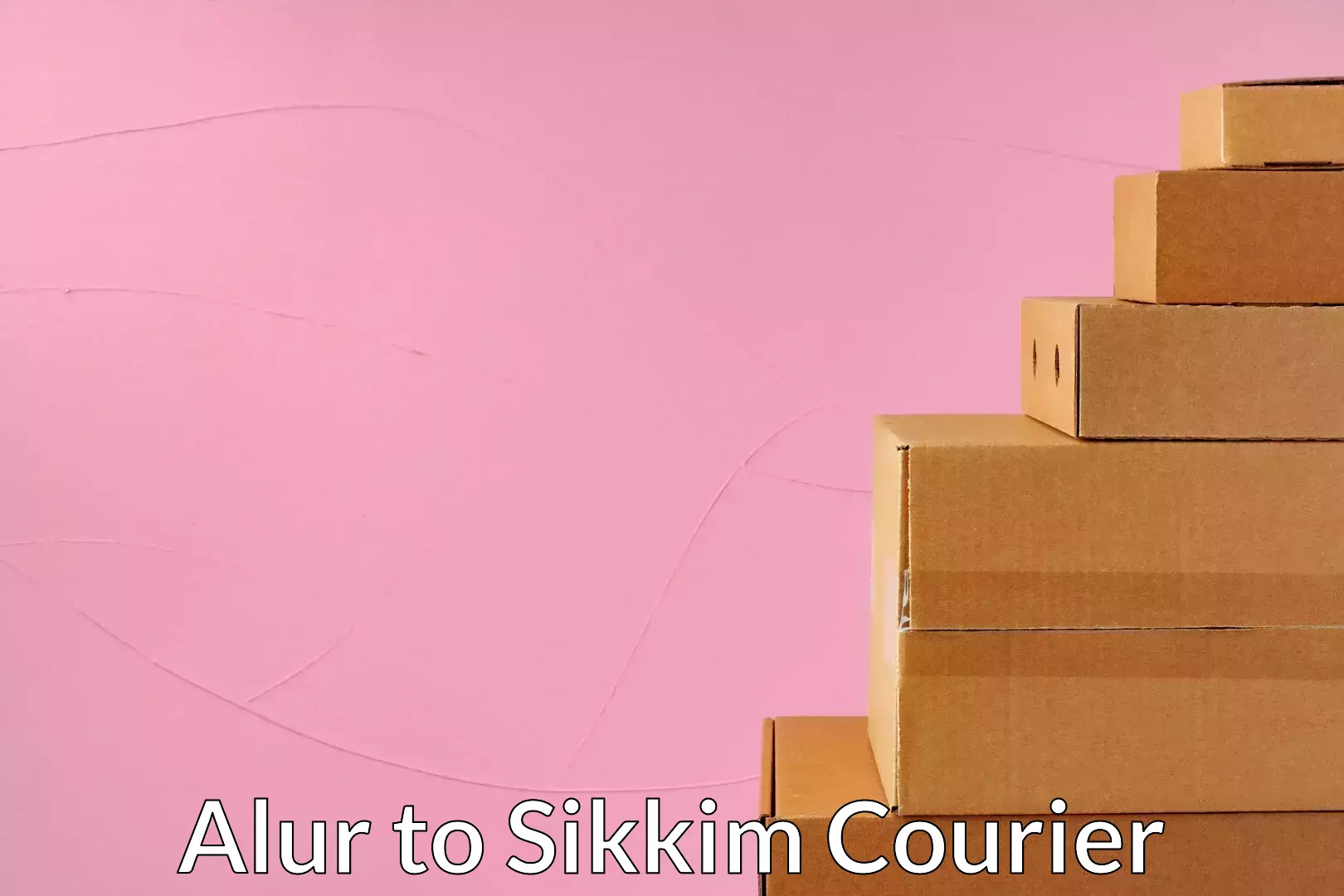 Small parcel delivery Alur to West Sikkim