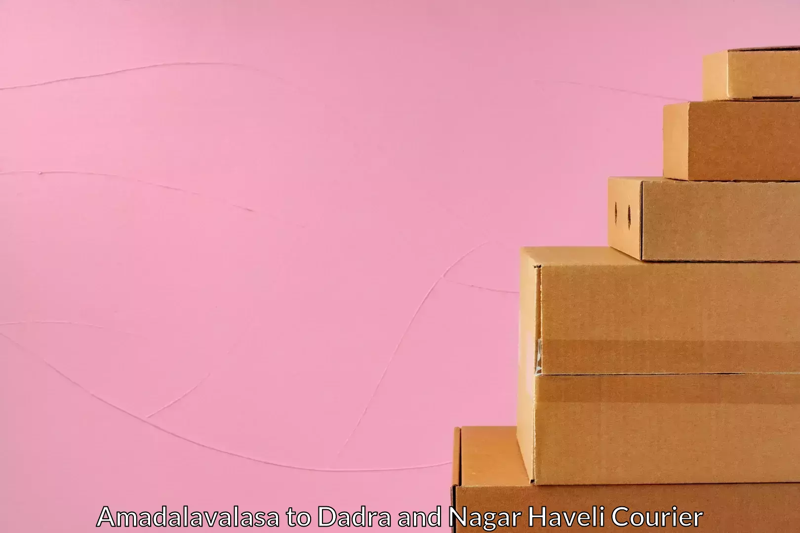 Next day courier Amadalavalasa to Dadra and Nagar Haveli