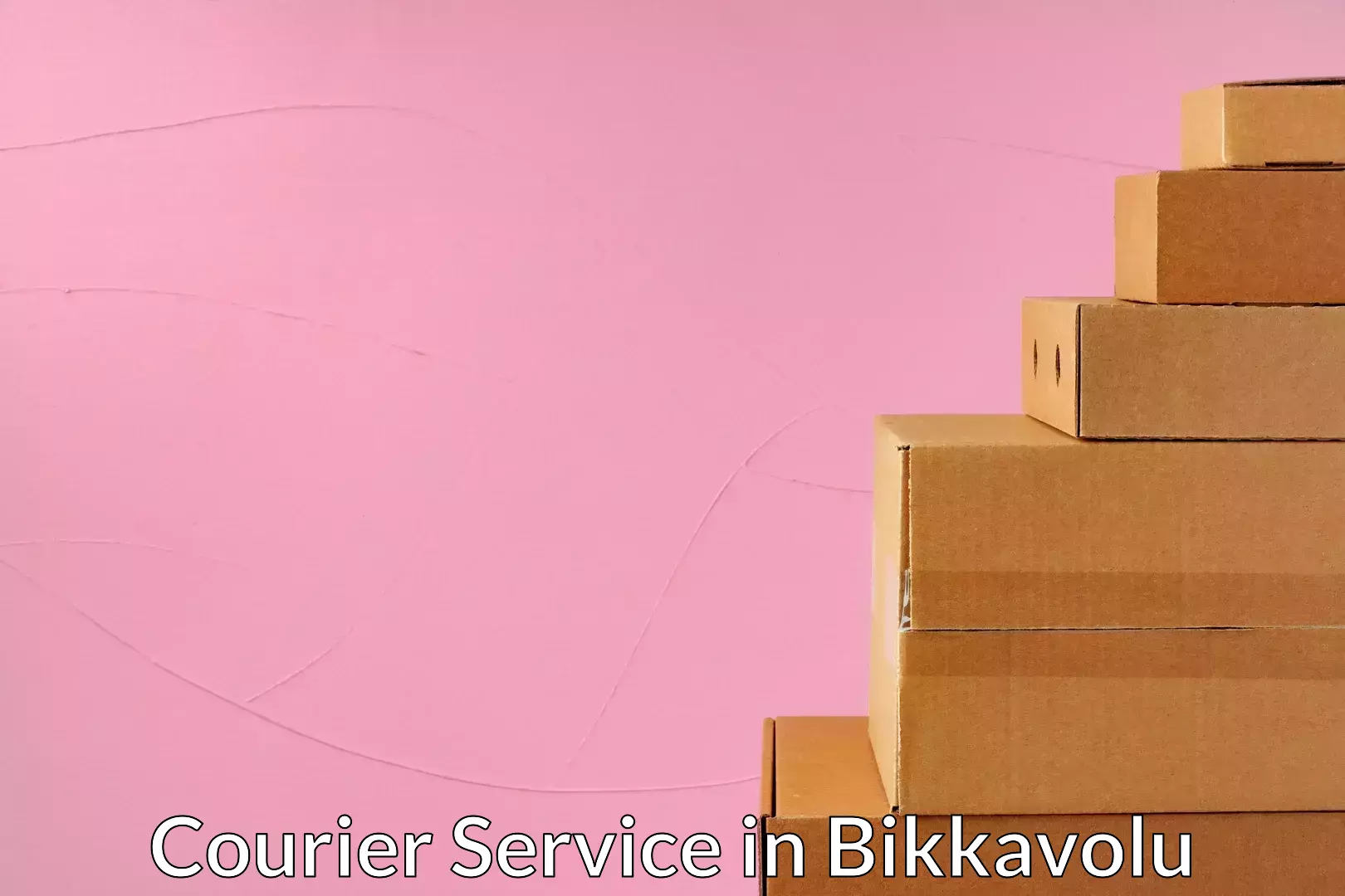 Parcel handling and care in Bikkavolu