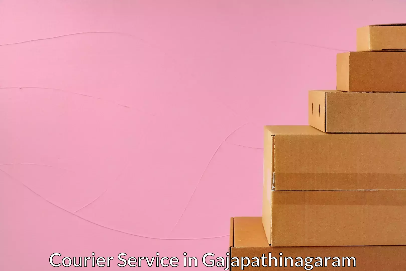 Personalized courier solutions in Gajapathinagaram