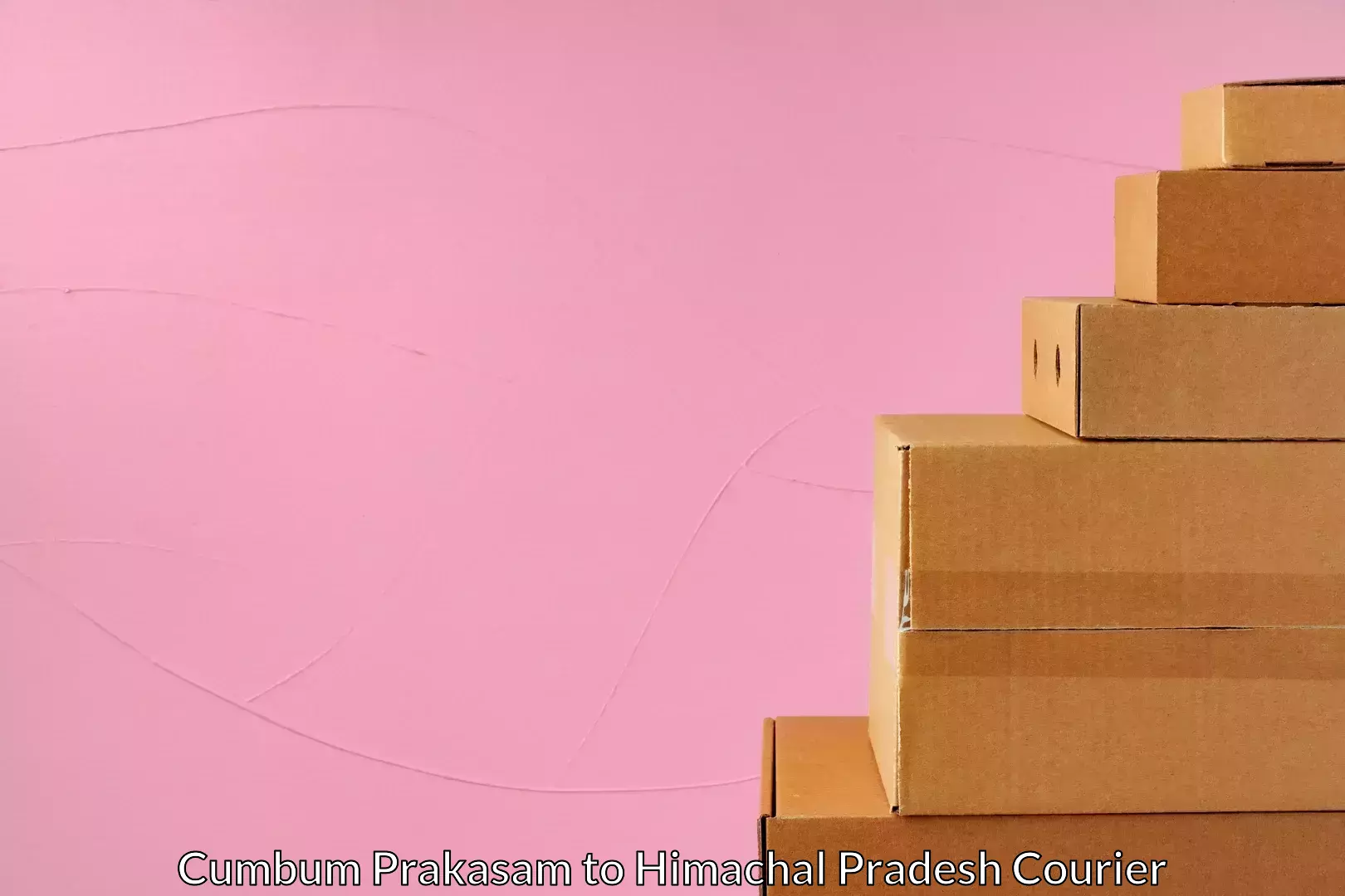 Specialized courier services in Cumbum Prakasam to Naina Devi