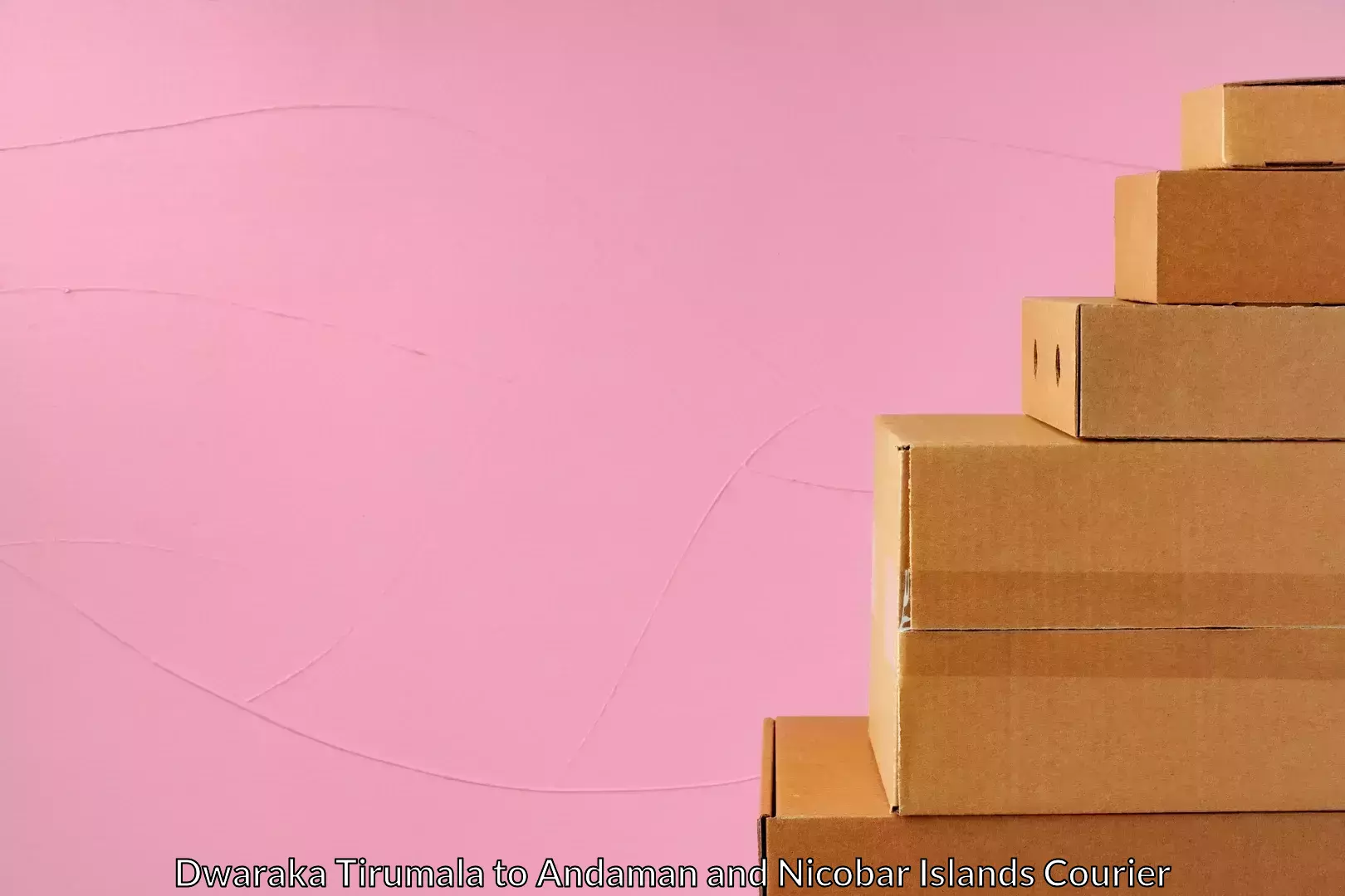 Affordable international shipping in Dwaraka Tirumala to Nicobar