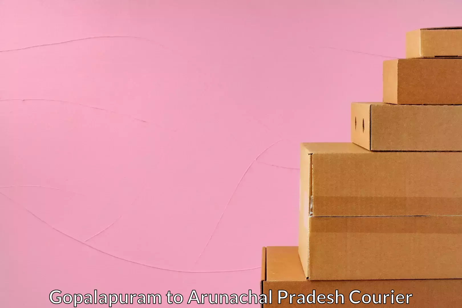 Express courier capabilities Gopalapuram to Lohit