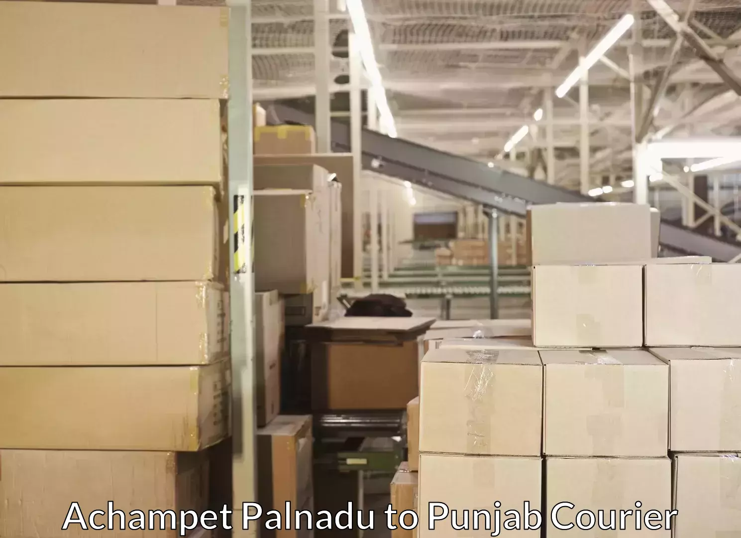 Punctual parcel services Achampet Palnadu to Adampur Jalandhar