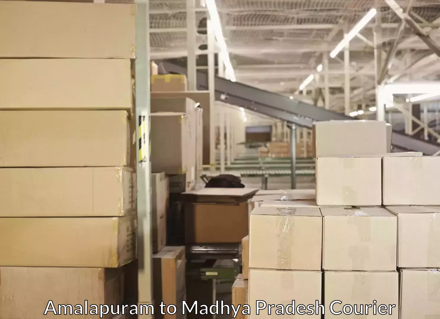 Local courier options Amalapuram to Madhya Pradesh