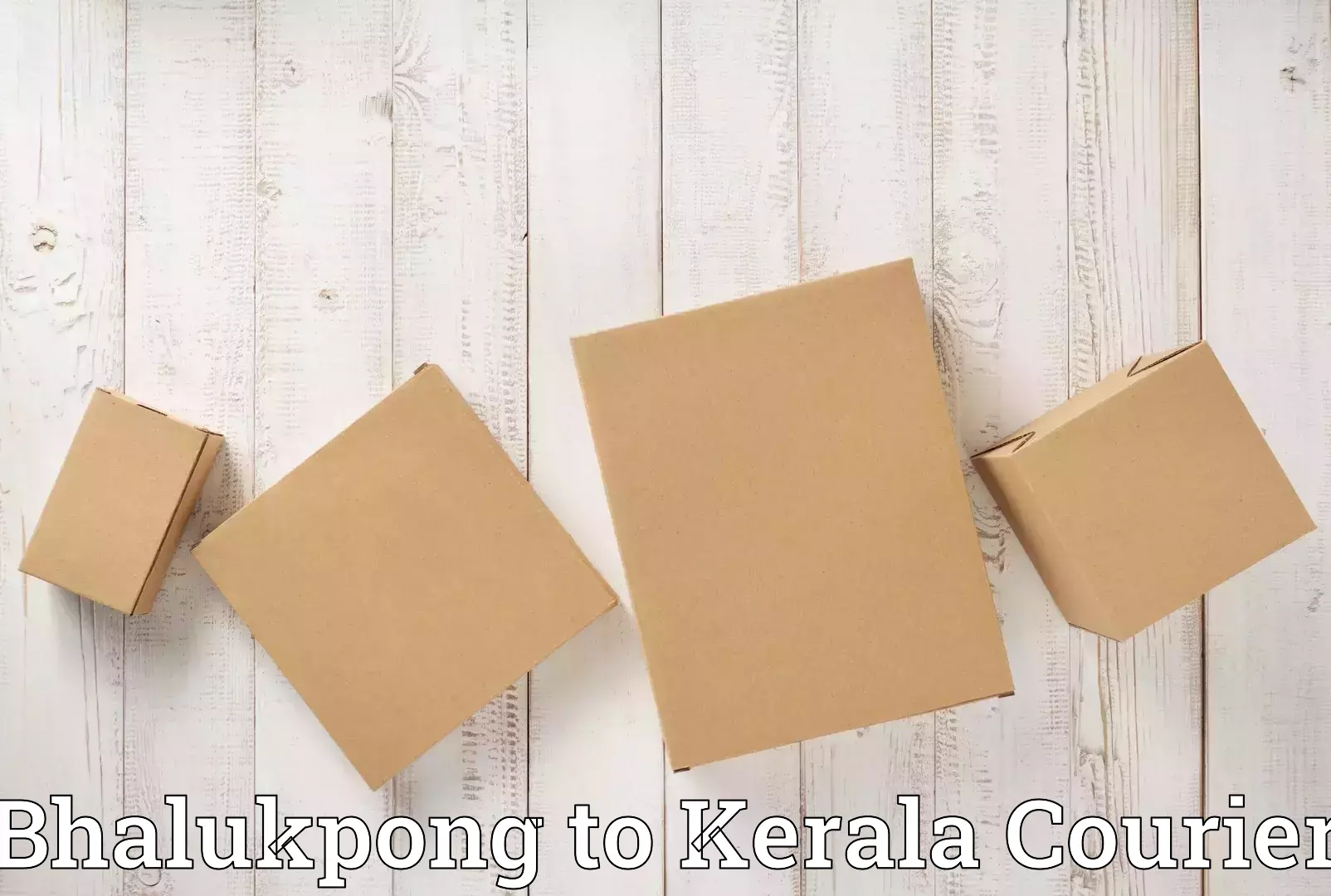 Furniture moving specialists Bhalukpong to Kanhangad