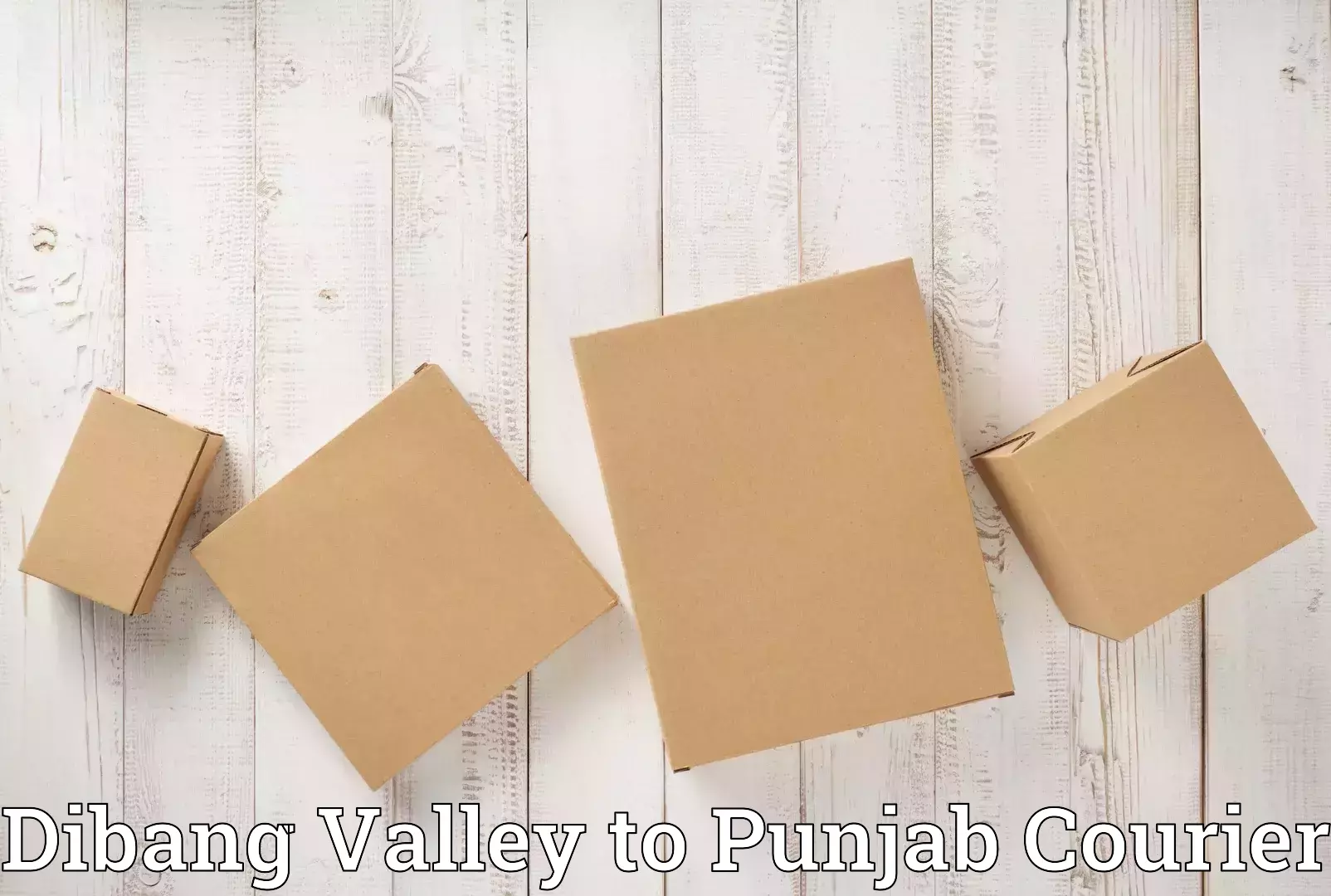 Moving and storage services in Dibang Valley to Punjab