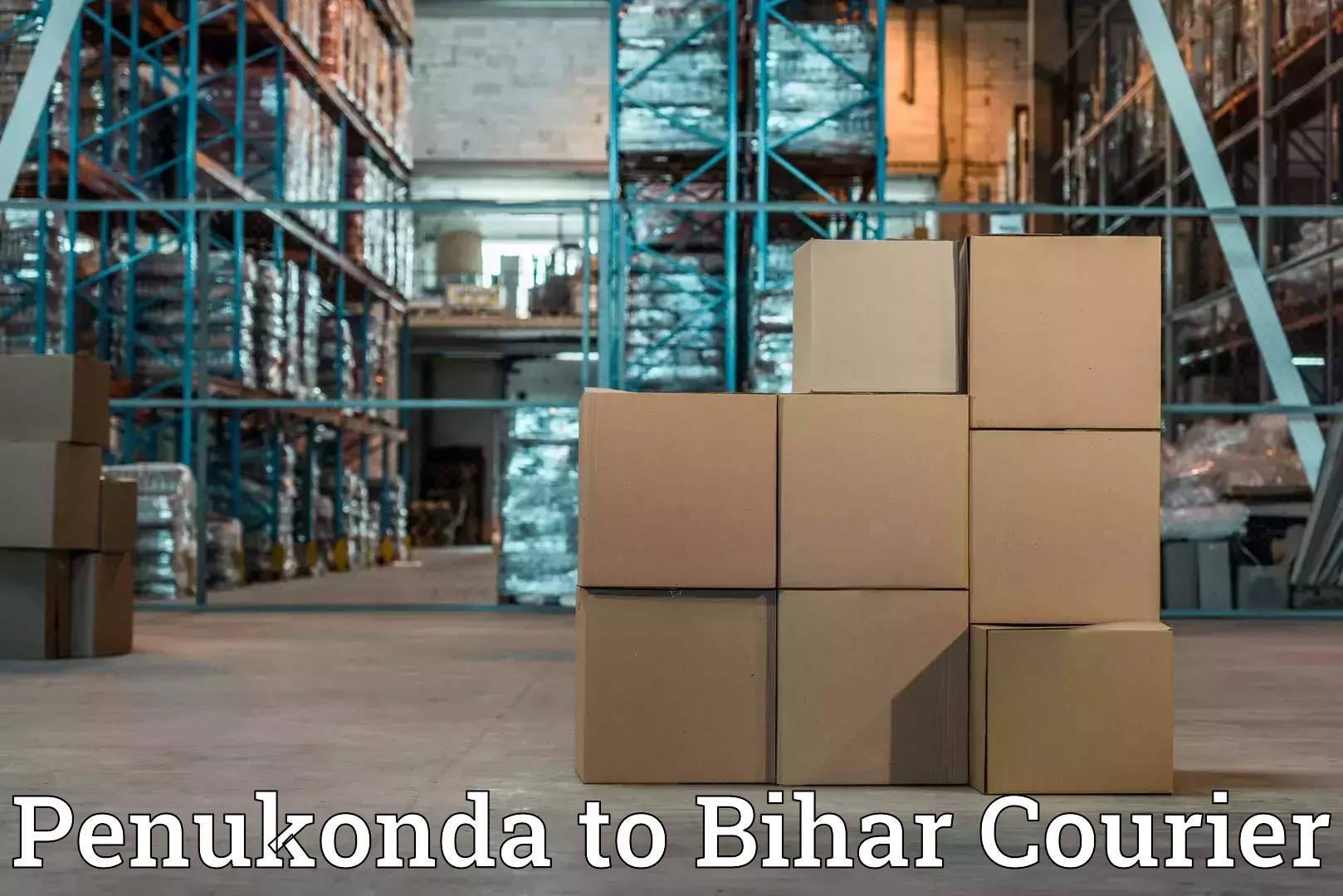 Comprehensive goods transport Penukonda to Bihar