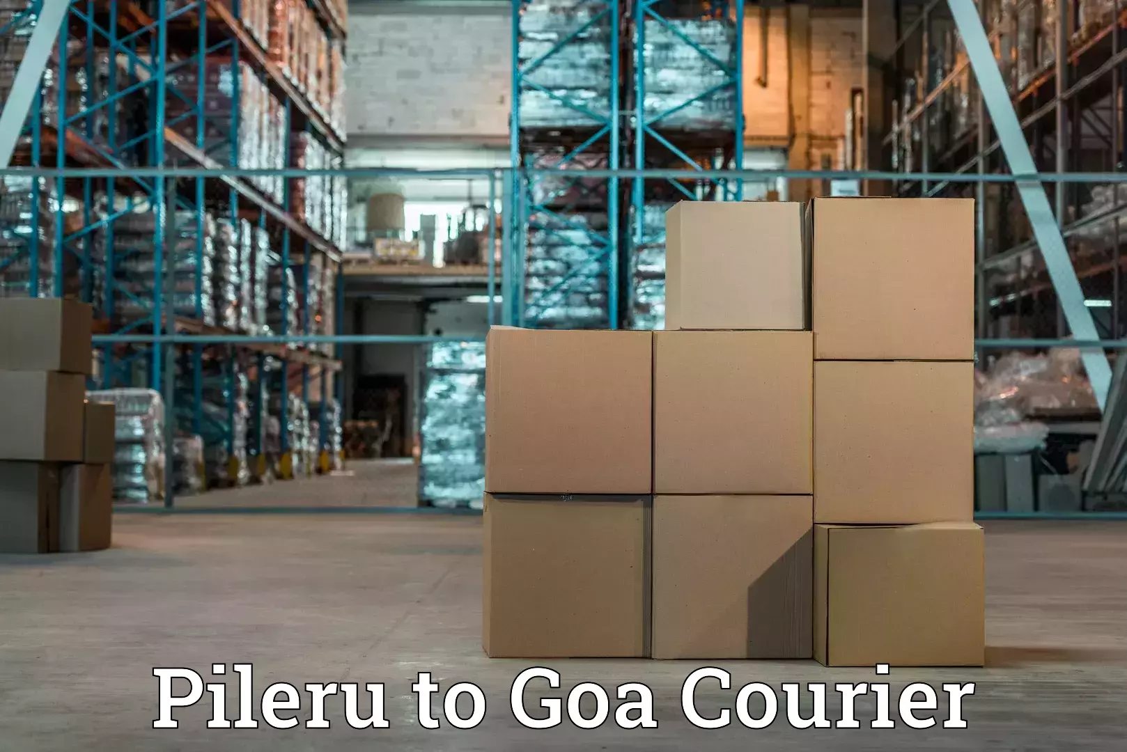 Efficient moving company Pileru to Vasco da Gama