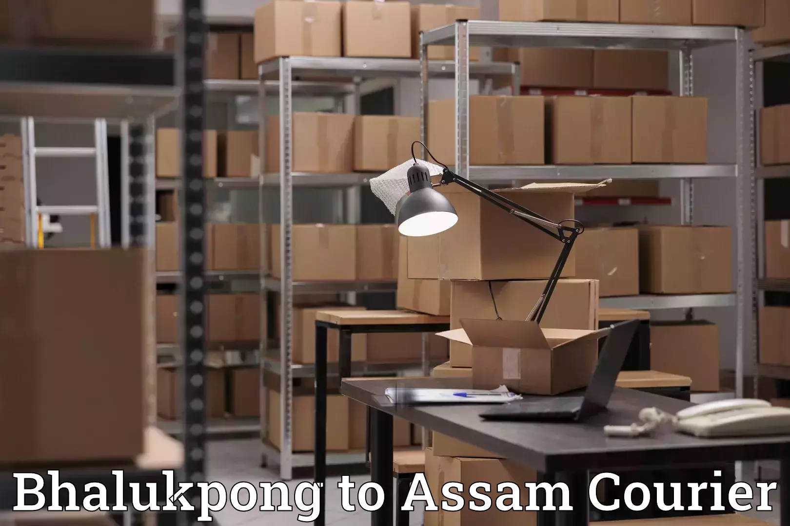 Residential relocation services Bhalukpong to Assam