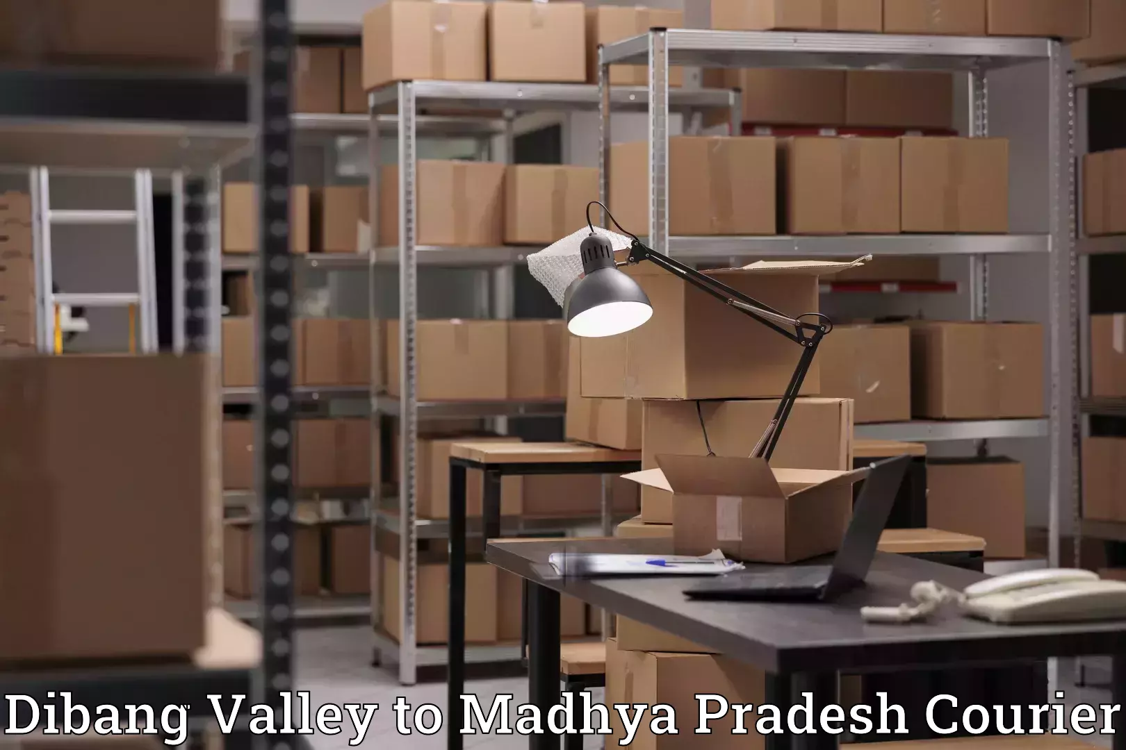 Efficient moving strategies Dibang Valley to Madhya Pradesh