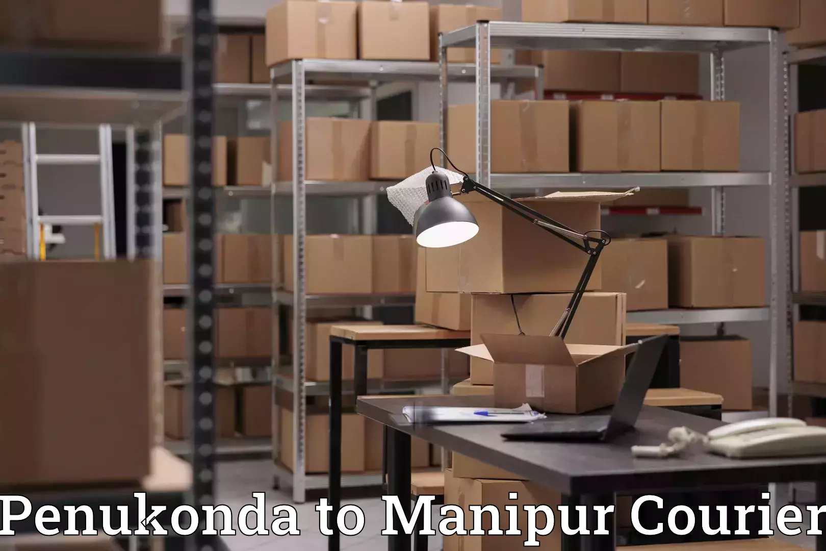 Custom moving solutions Penukonda to Senapati