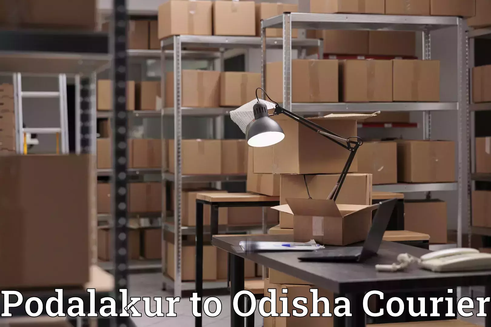 Easy furniture transport Podalakur to Odisha