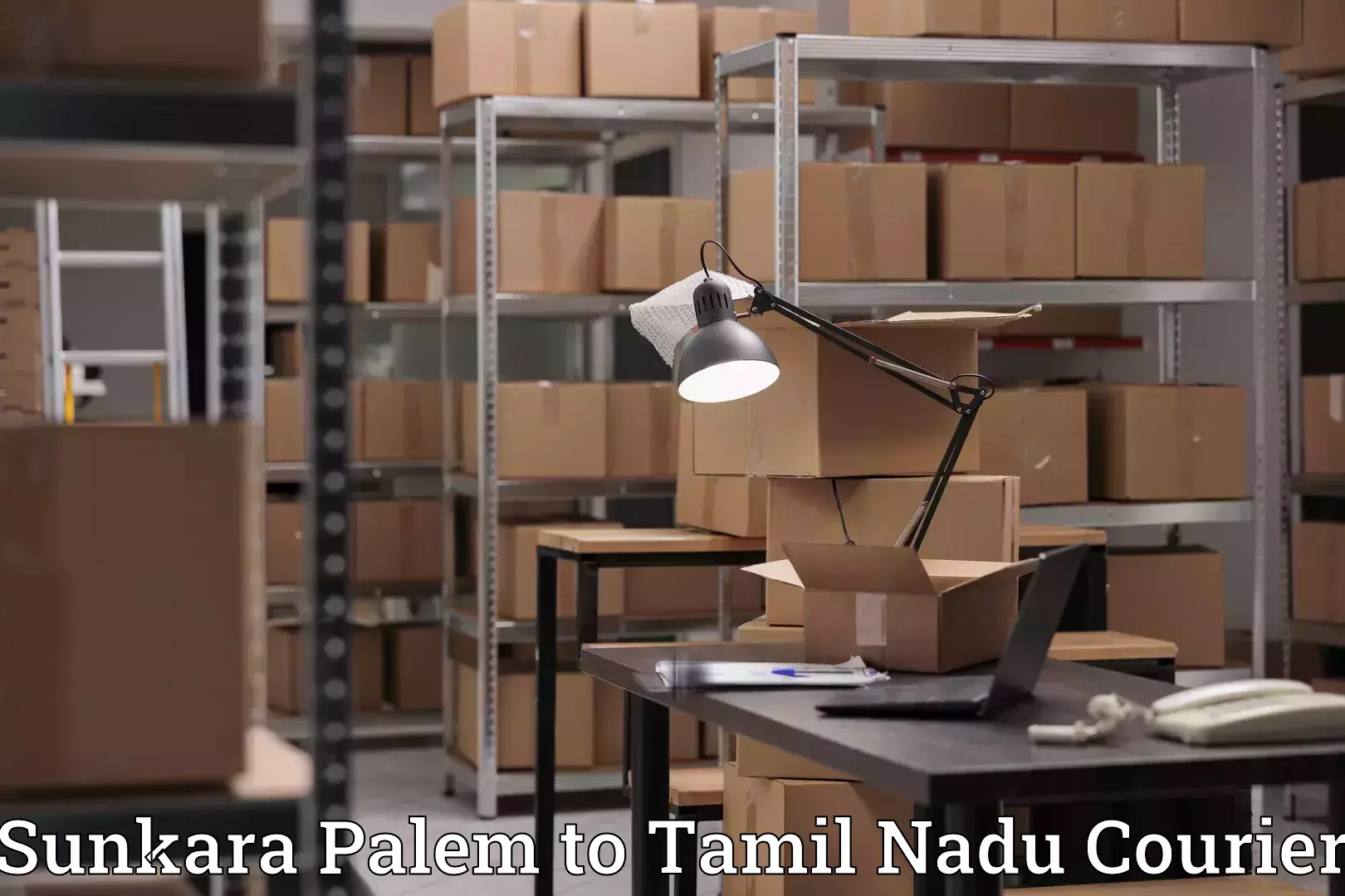 Efficient furniture movers Sunkara Palem to Nanguneri