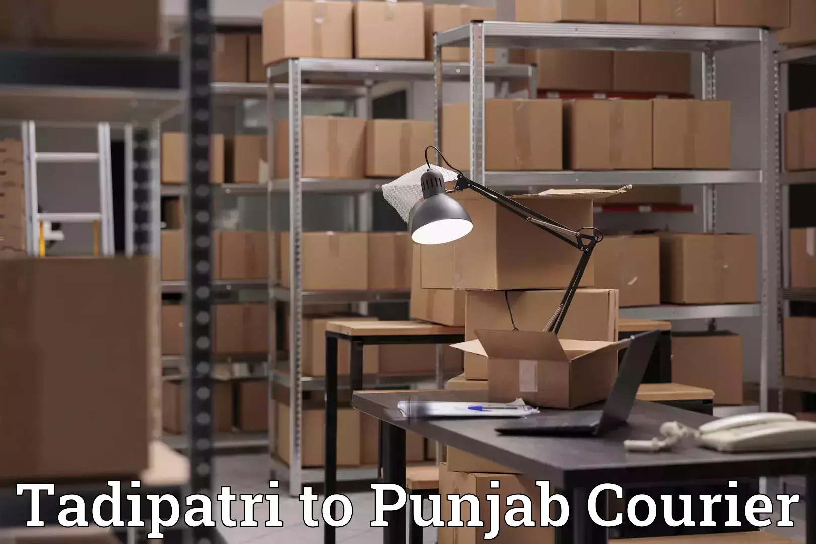 Custom furniture transport Tadipatri to Guru Nanak Dev University Amritsar