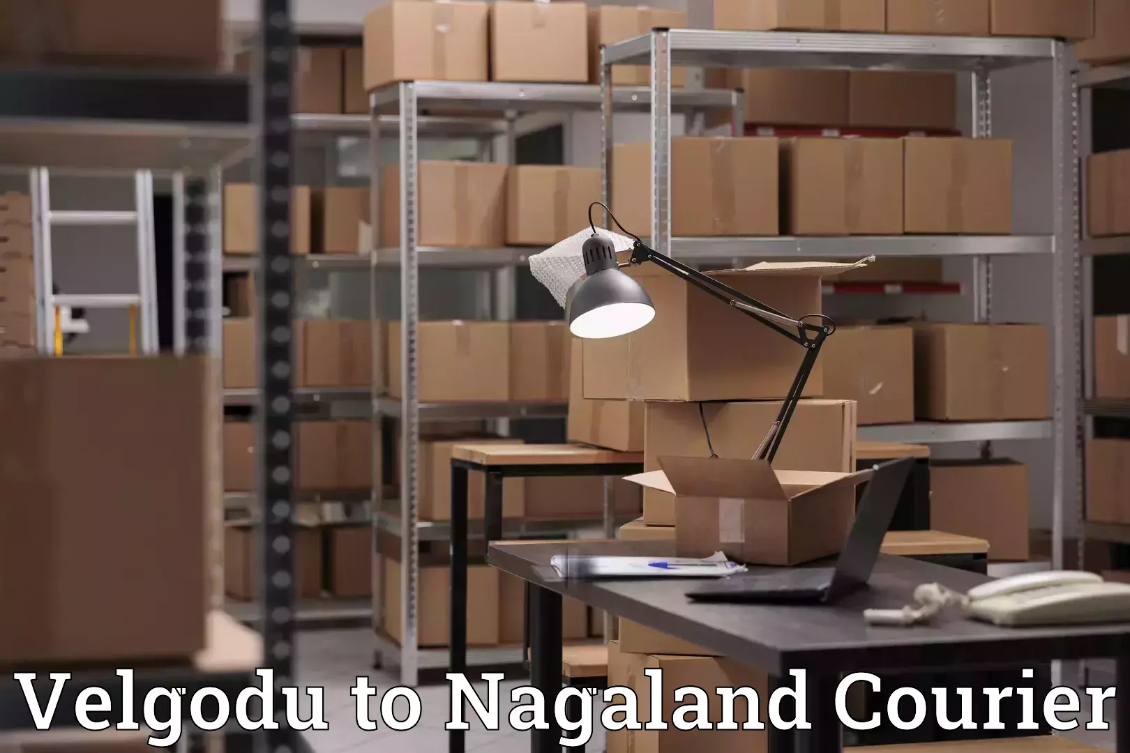 Efficient relocation services Velgodu to Nagaland