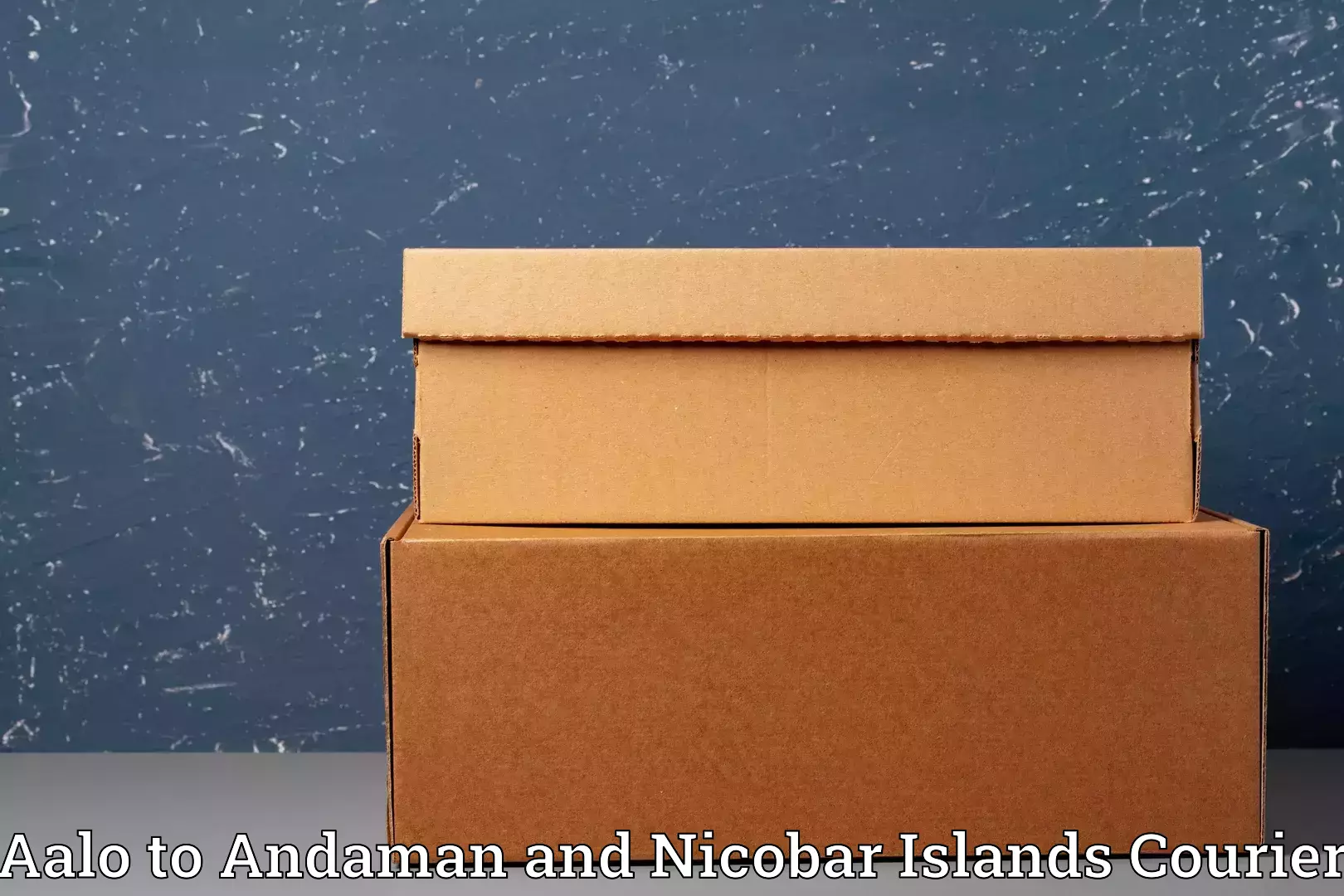 Specialized moving company Aalo to Andaman and Nicobar Islands