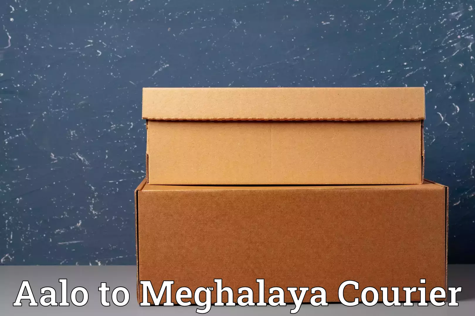 Household shifting services Aalo to Meghalaya