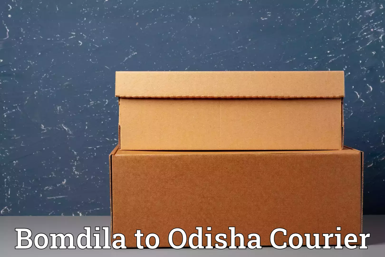 Cost-effective moving options Bomdila to Pappadahandi