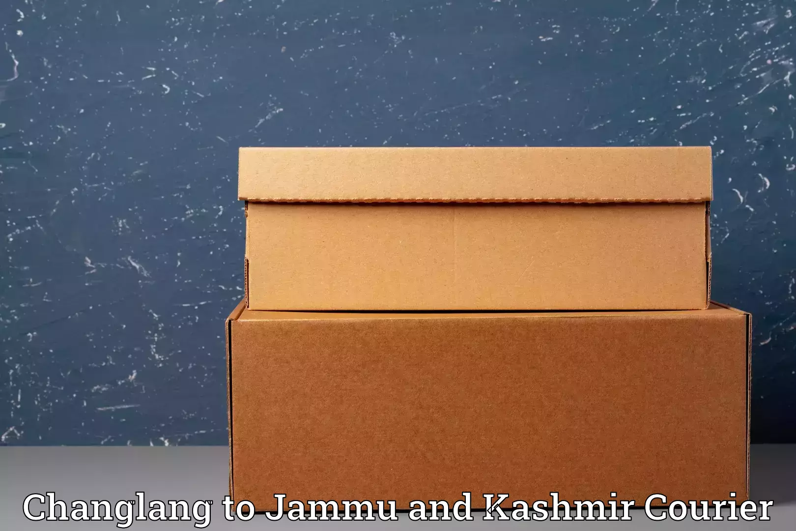 Specialized furniture movers Changlang to Pulwama