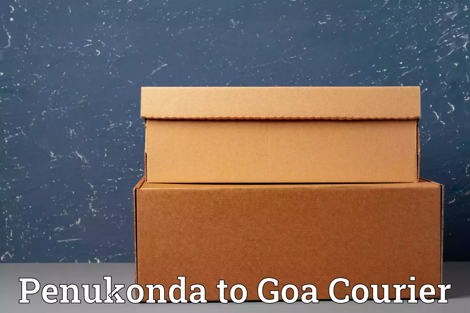 Custom moving solutions Penukonda to Goa