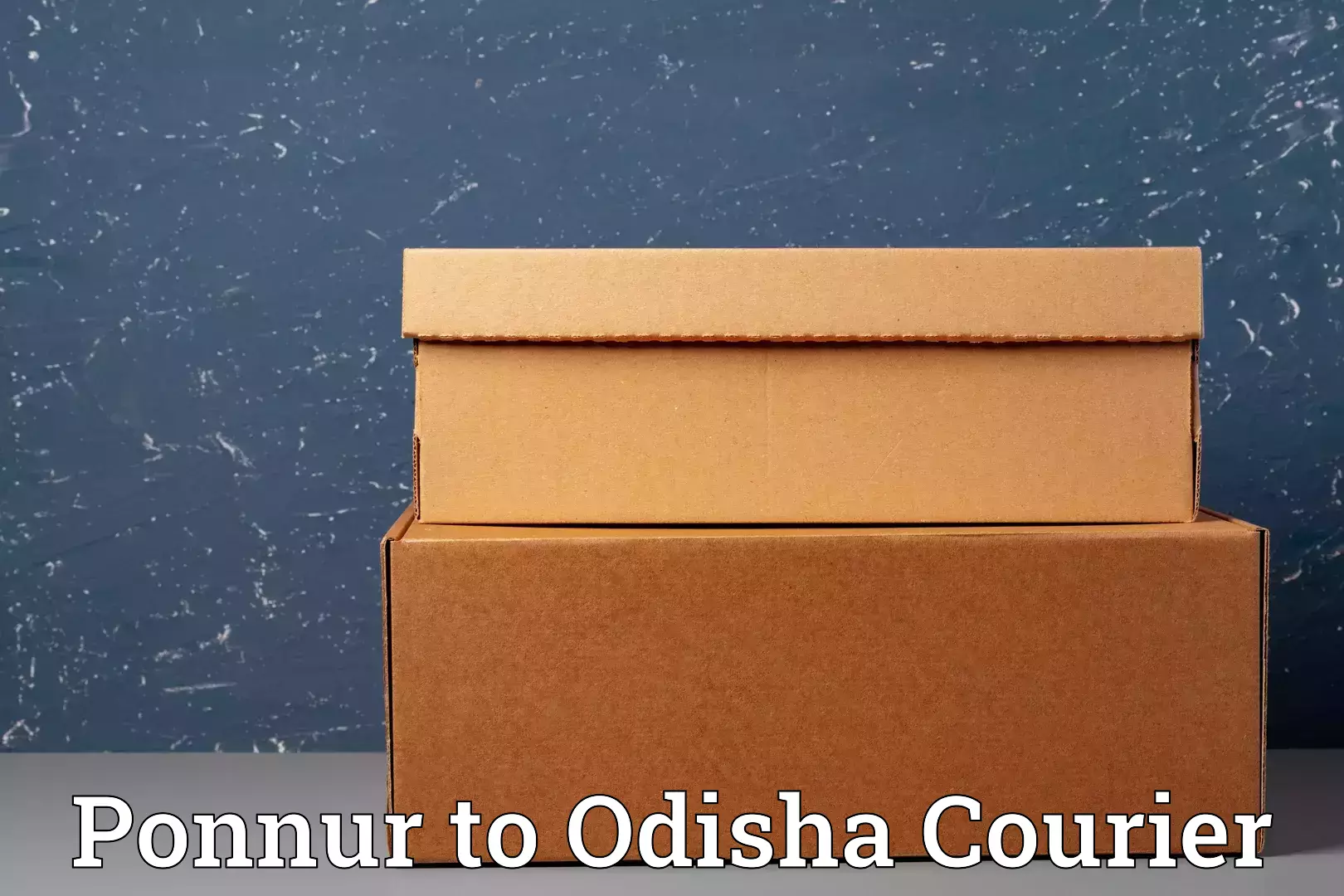 Smooth moving experience Ponnur to Odisha