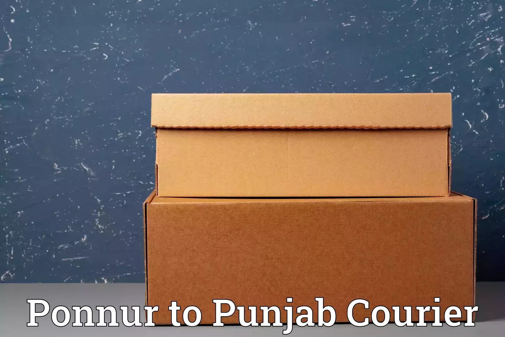 Home moving and storage Ponnur to Punjab