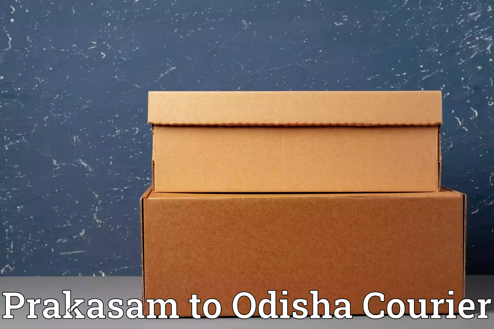 Household goods shipping in Prakasam to Boudh