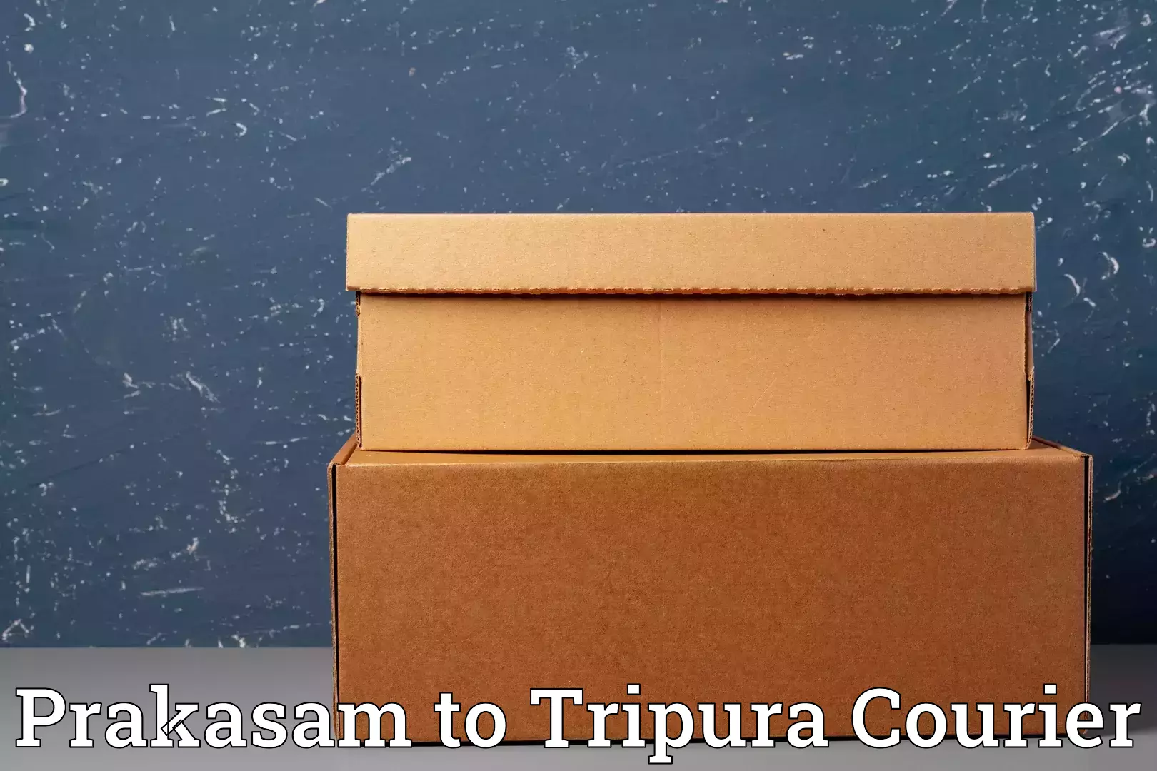 Customized relocation services Prakasam to Tripura